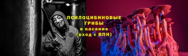 2c-b Алексеевка