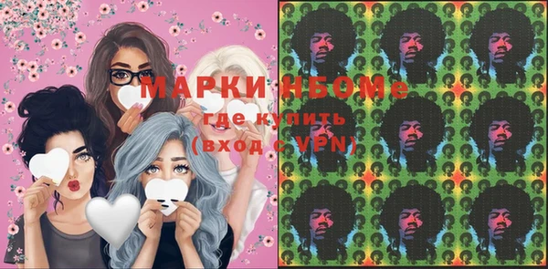 шишки Арсеньев