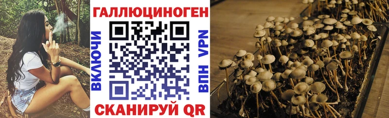 Псилоцибиновые грибы Magic Shrooms купить сайты Ахтубинск